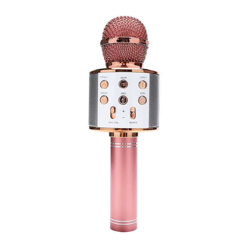 Microfone Bluetooth Karaokê com Alto Falante - Karaokê Pro™️